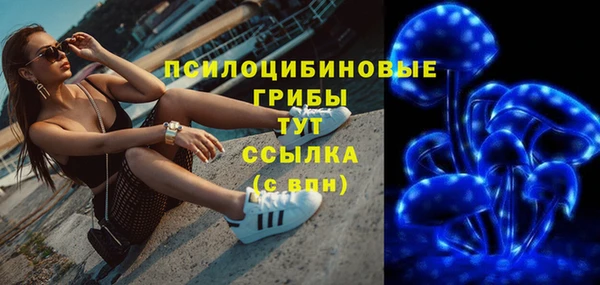 крисы Сосновка